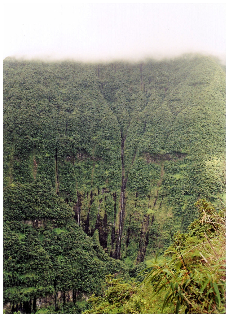 03 - Salazie (10).jpg